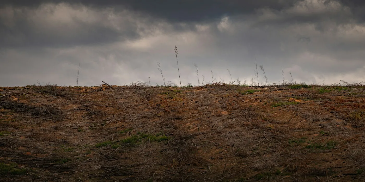 Broad exposed soil surface under cloudy skies